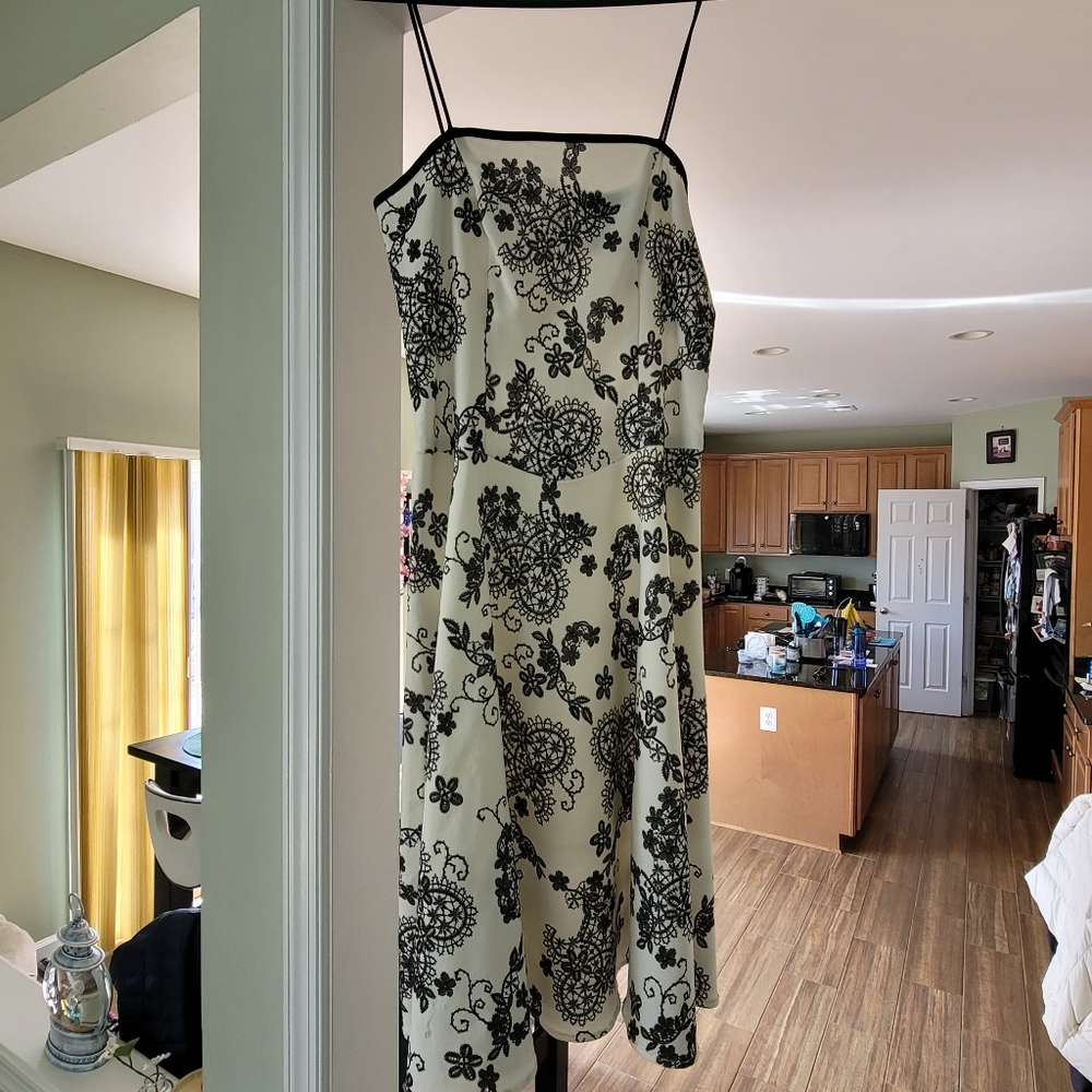 Black and white B Darlin.  Only worn 1x